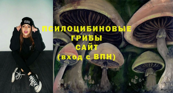 синтетический гашиш Алексеевка
