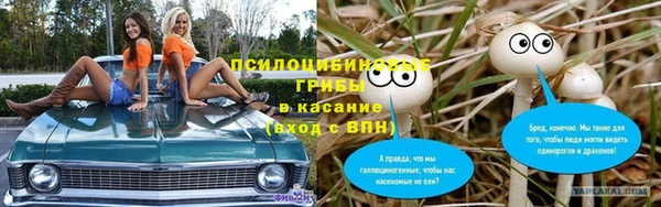 дурь Алзамай