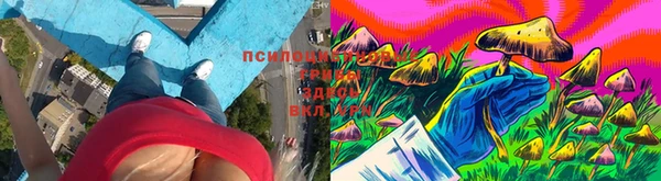 дурь Алзамай