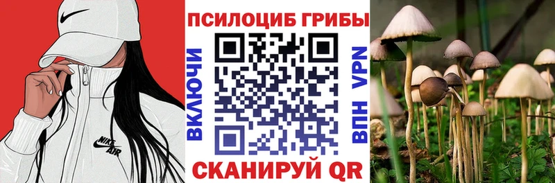 Псилоцибиновые грибы GOLDEN TEACHER  Любань 